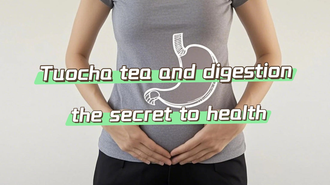 Tuocha tea and digestion: the secret to health