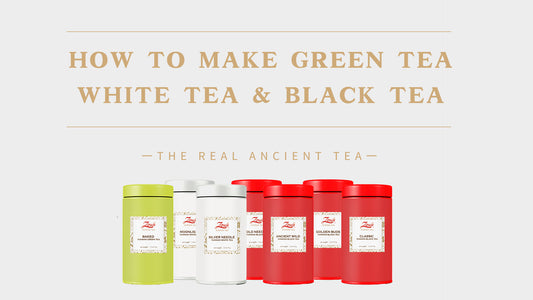 Comment faire du thé vert/ thé noir/ thé blanc?