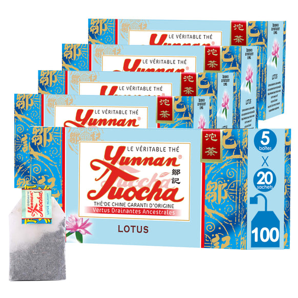 Sachets de Thé Lotus Tuocha | Yunnan Tuocha / Zouji