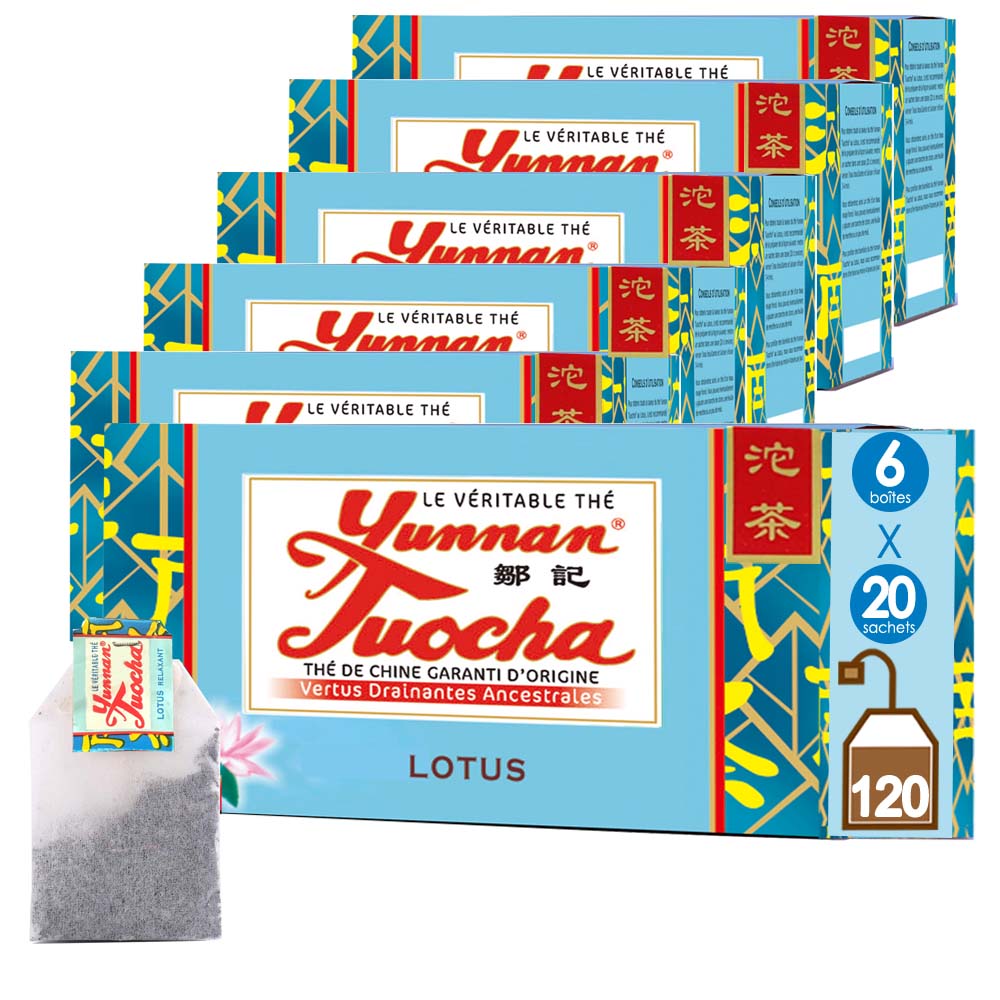 Sachets de Thé Lotus Tuocha | Yunnan Tuocha / Zouji