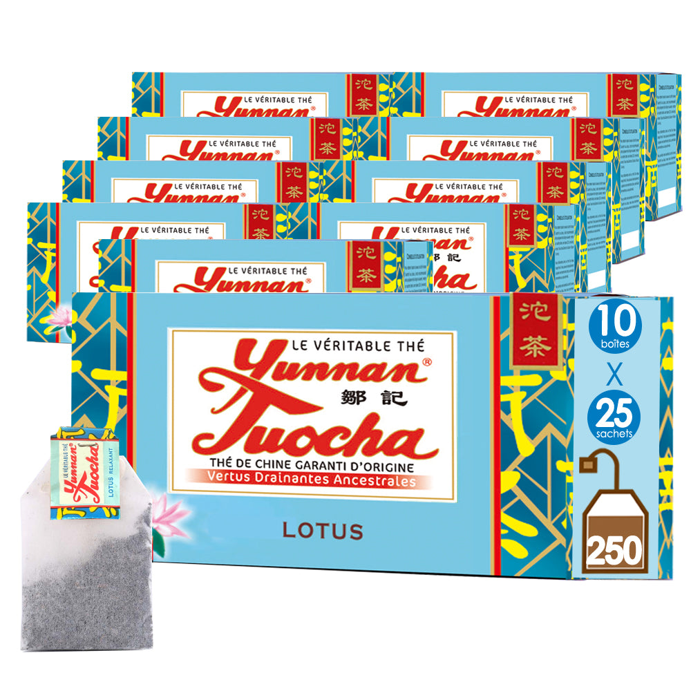 Sachets de Thé Lotus Tuocha | Yunnan Tuocha / Zouji
